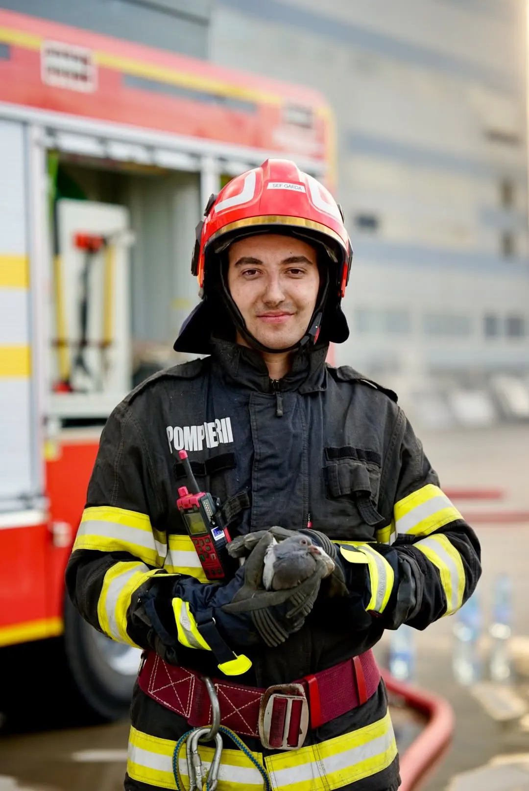 Foc pe centura Severinului: casă, hală și autoturisme cuprinse